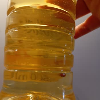 Albir Gross Yeni Kavaklıdere Elma Sirkesi Sinekleri