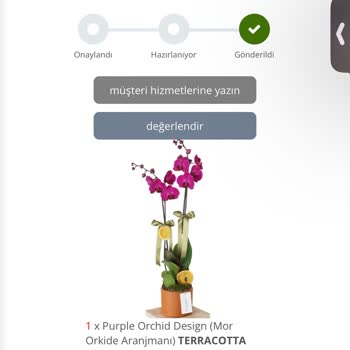 Heryerbitki.com Pişmanlıktır İşgüzar İnsanlar