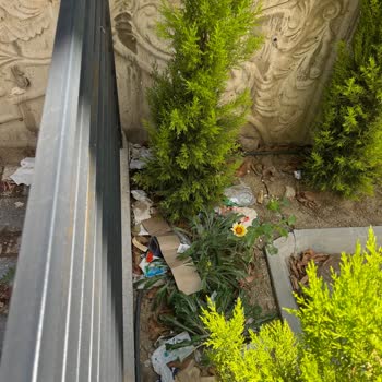 A101 Çevreye Zarar Veriyor!