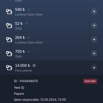 7SLOT Para Çekme Sorunu