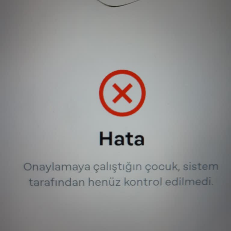Papara Sistem Onayı Sorunu
