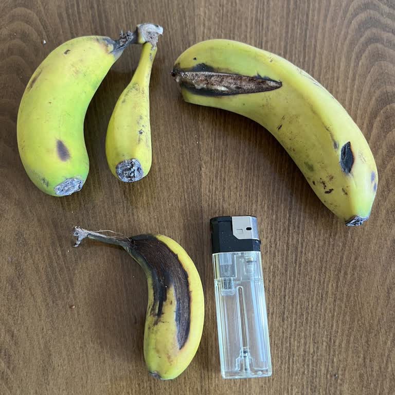 Migros Hemen, Adeta Müşterisiyle Dalga Geçiyor.