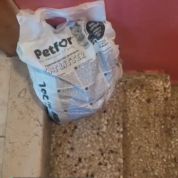 Trendyol Express Siparişim Kapıma Kadar Gelmedi!