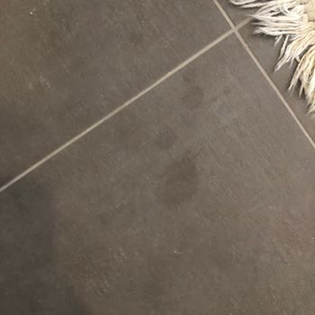 Vitra Karo Memnuniyetsizlik, İlgisizlik Ve Sorun Çözümsüzlüğü