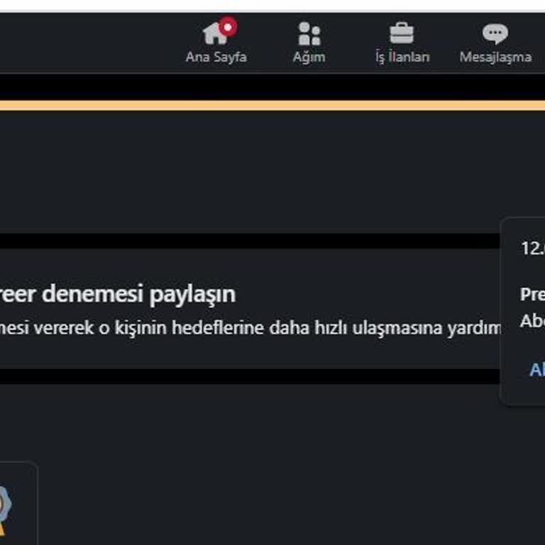 Linkedin Premium Aboneliği Adı Altında Kartımdan Para Çekti
