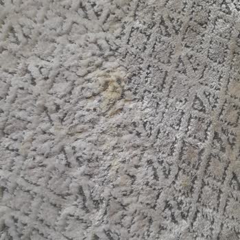 Vivaldi Home Elegans Halı Şikayeti