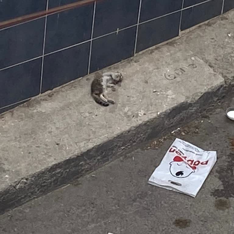 İzmir Büyükşehir Belediyesi Him Telefon Hattı Hizmet Vermiyor