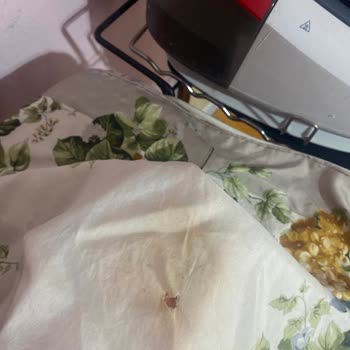 Arçelik K 4516 Kazanlı Ütü Buhar Çıkarmıyor!