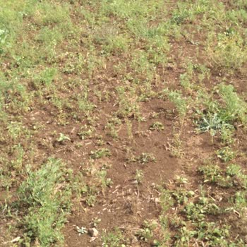 TARSİM 2 Ci Gündür İtiraz Edemiyoruz Gelin İnceleyin Arazimi