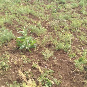 TARSİM 2 Ci Gündür İtiraz Edemiyoruz Gelin İnceleyin Arazimi