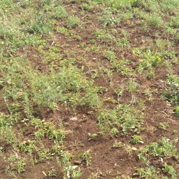 TARSİM 2 Ci Gündür İtiraz Edemiyoruz Gelin İnceleyin Arazimi