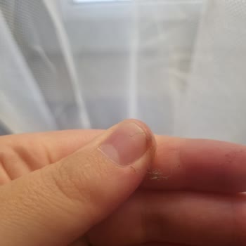 Akçal Pasta & Cafe Plastik Çıktı