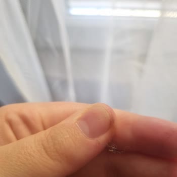 Akçal Pasta & Cafe Plastik Çıktı