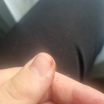 Akçal Pasta & Cafe Plastik Çıktı