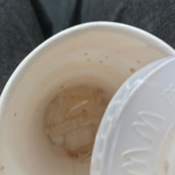 McDonald's İçecekten Sinek Çıktı