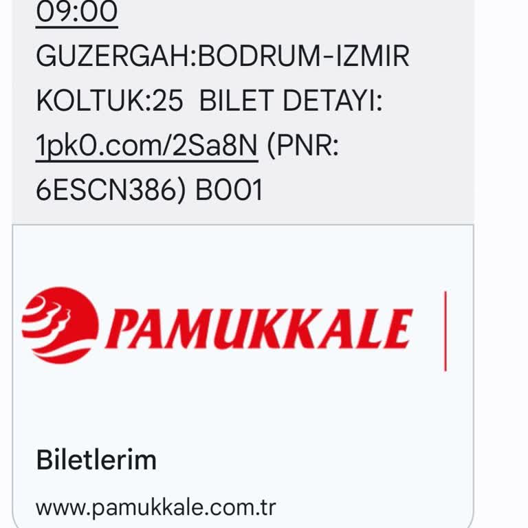 Pamukkale Turizm Bodrum-İzmir Seferinin Yolcuyu Almadan Gitmesi