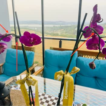 Çiçeksepeti.com Ayıplı/kusurlu Ürün Gönderiyor! Suçu Kabul Etmiyorlar