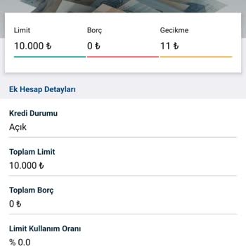 Yapı Kredi Bankası Esnek Hesabı Sorunu