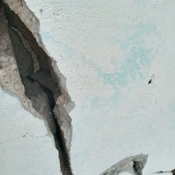 AFAD Yetkilisinin Deprem Olunca Korkup Görevini Yapmaması