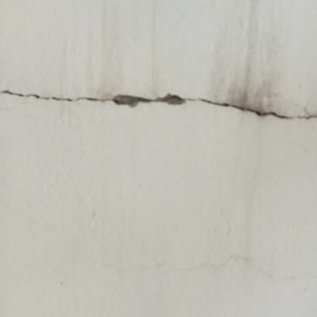 AFAD Yetkilisinin Deprem Olunca Korkup Görevini Yapmaması