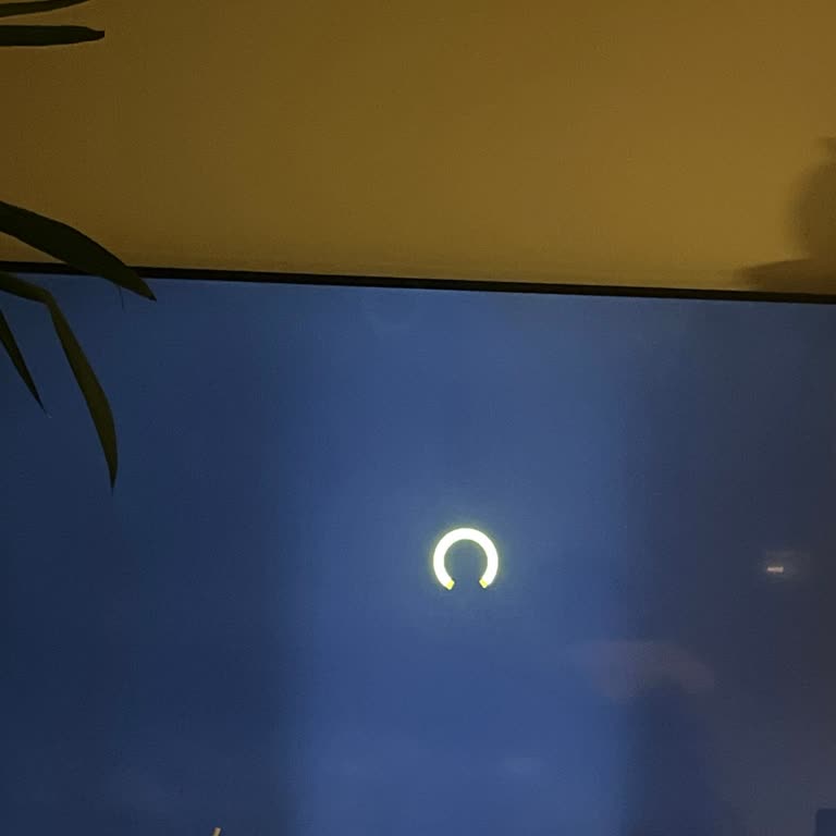 Exxen LG TV De Problem Yaşatıyor