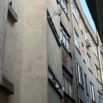 Esenler Belediyesi Güvercinler Ve Pislikleri