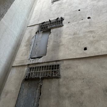 Esenler Belediyesi Güvercinler Ve Pislikleri