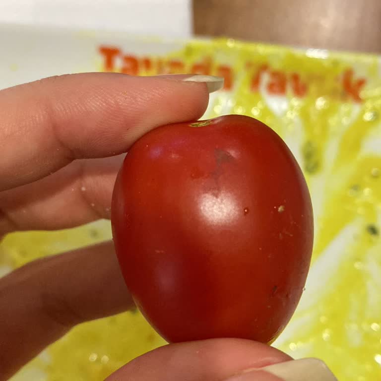 Tavada Tavuk Salatada Çamurlu Domates