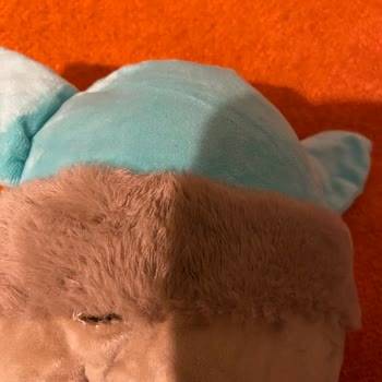 Çiçek Sepeti Şikayet