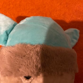 Çiçek Sepeti Şikayet