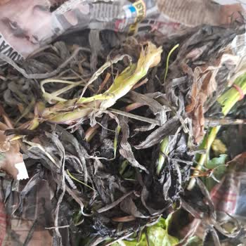 PTT Kargonun Vurdum Duymazlığı