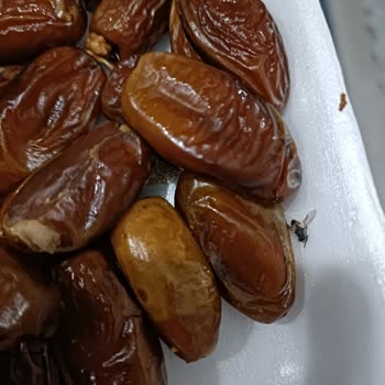 Halktan Kuruyemiş Hurmadan Ölü Sinek Çıktı
