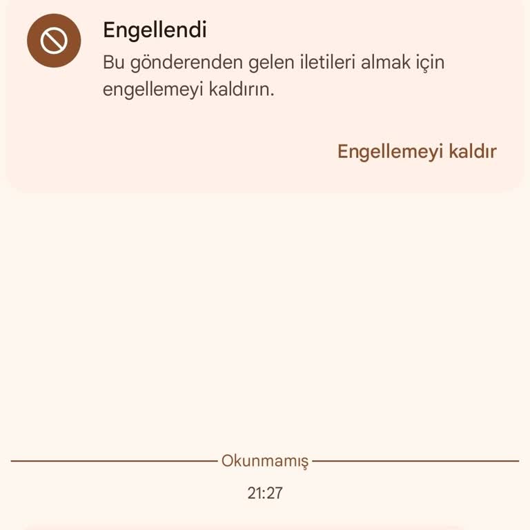 WhatsApp Hesabınız Yeni Bir Cihazda Kaydediliyor. WhatsApp Business