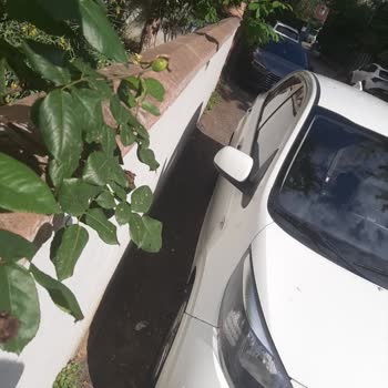 GetirAraç Moovun Durmadan Ceza İçin Para Kesmesi