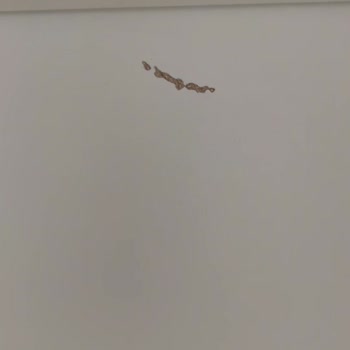 Kelebek Mobilyanın Hasarlı Gardırop Getirmesi Ve Sorumsuzluk