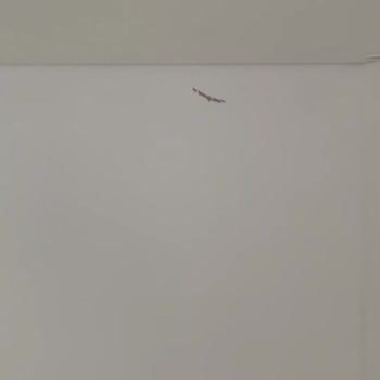 Kelebek Mobilyanın Hasarlı Gardırop Getirmesi Ve Sorumsuzluk