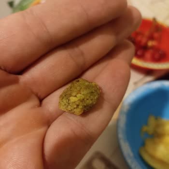 Fritolay Lays Patates Cipsinden Çıkan Cisim