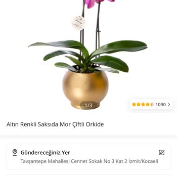Çiçek Sepeti Aynı Gün Teslim Kargom 6 Gündür Teslim Edilmedi.