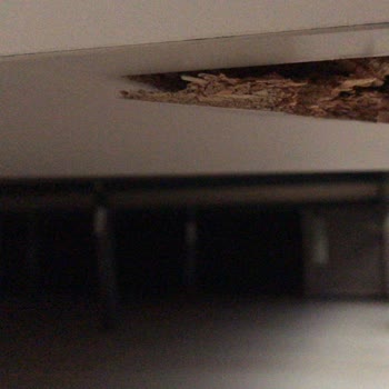 Alfemo Karyola Ayağı Kırılması Ve Sonrası Hüsran