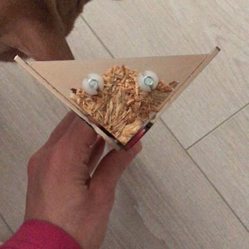 Alfemo Karyola Ayağı Kırılması Ve Sonrası Hüsran