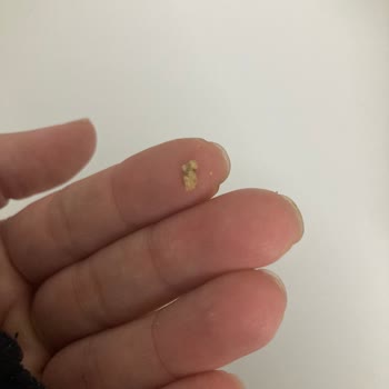 Nestle Damak Çikolatada Antep Fıstığı Kabuğu