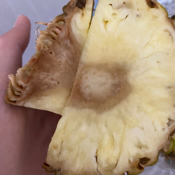 Migros Ananasın Bozuk Olması