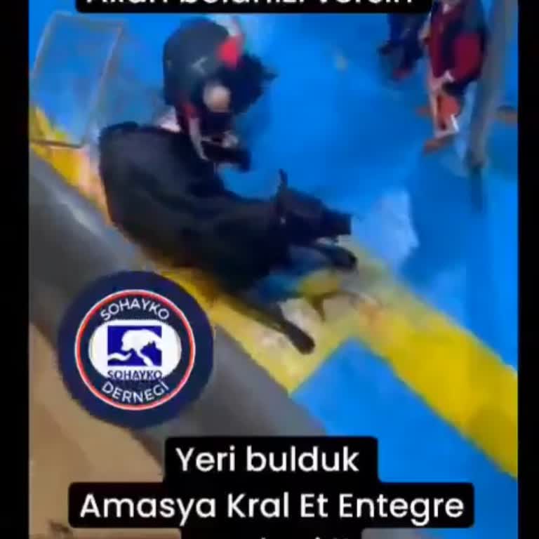 Amasya Kral Et Entegre