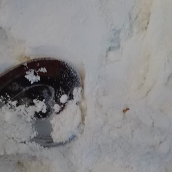 Kardeş Gıda Pirinç Unu Aldım İçi Kurtlu Çıktı!