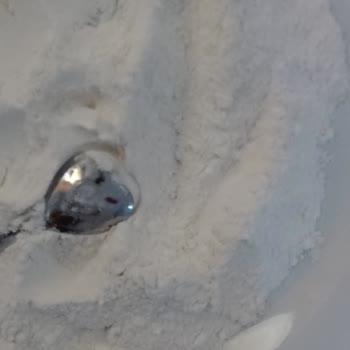 Kardeş Gıda Pirinç Unu Aldım İçi Kurtlu Çıktı!