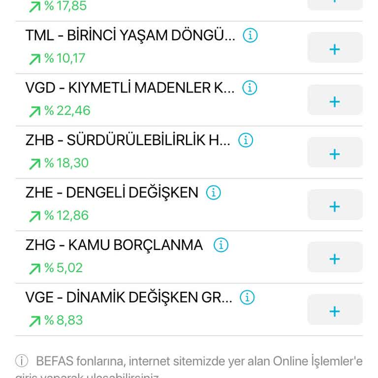 Türkiye Hayat Emeklilik Befas Fonu Alınamıyor.