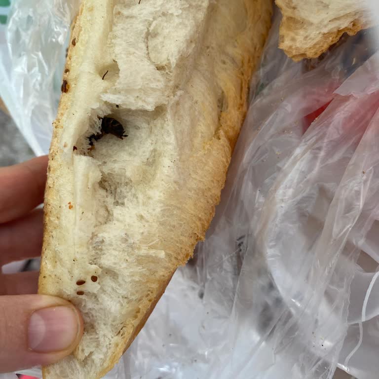 BİM'den Aldığım Ekmekten Böcek Çıktı