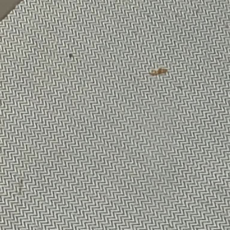 Yataş Eksik Ürün Kusurlu Montaj!