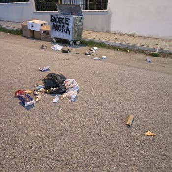 Gölbaşı Belediyesi Ağzı Açık Çöp Konteyneri Ankara Gölbaşı, Ballıkpınar Mah