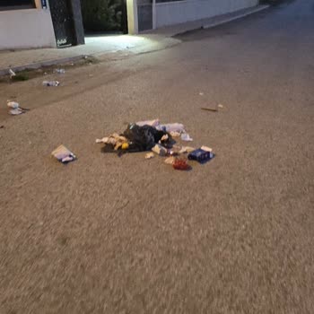 Gölbaşı Belediyesi Ağzı Açık Çöp Konteyneri Ankara Gölbaşı, Ballıkpınar Mah